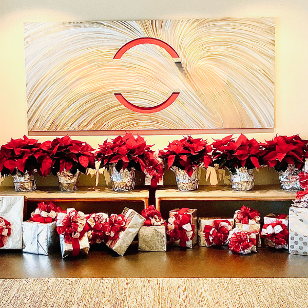 AMB_Poinsettias_Website