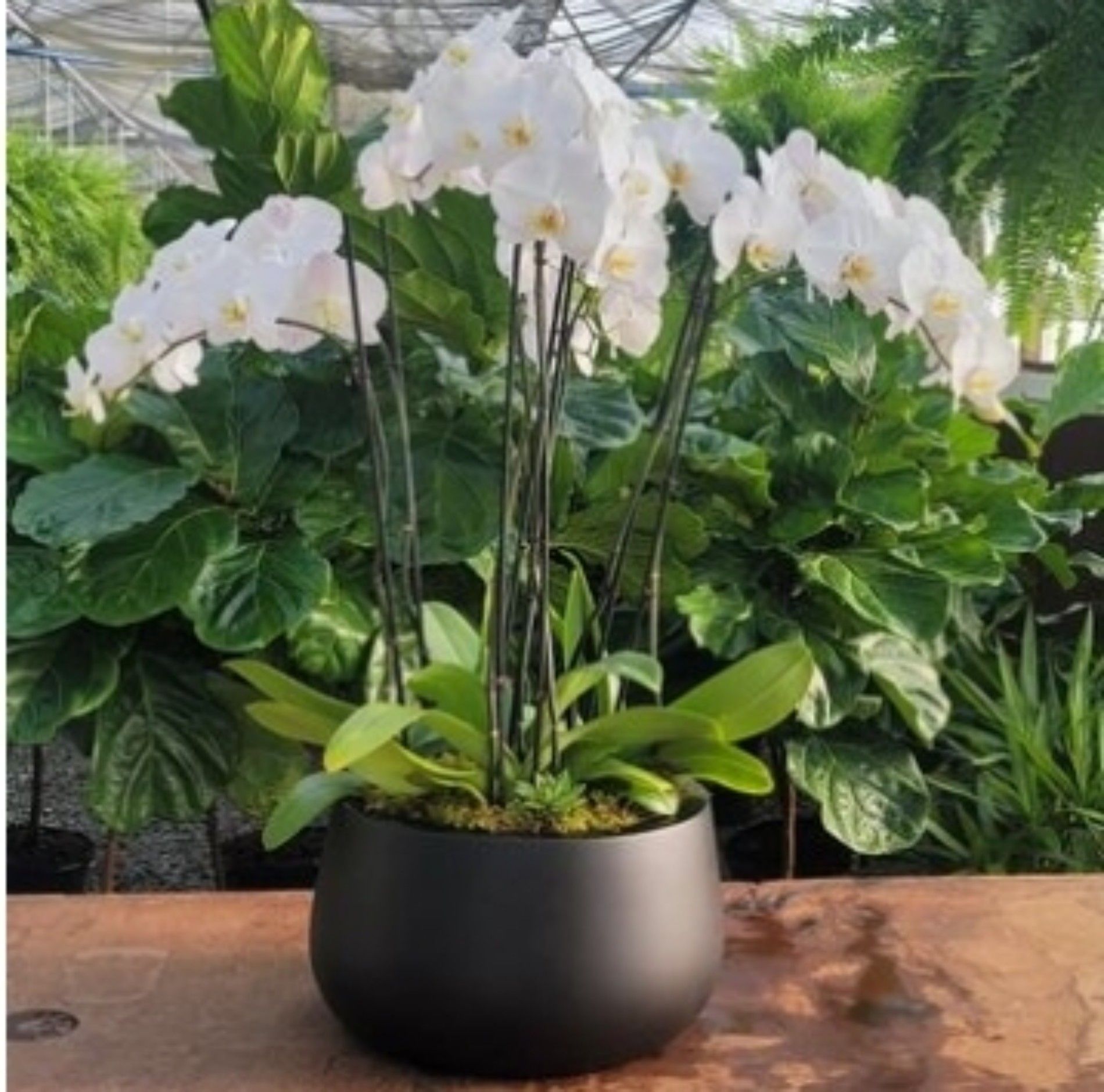 green-resources-interior-landscaping-2024-9