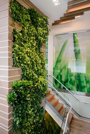 New York City Green Wall - resized