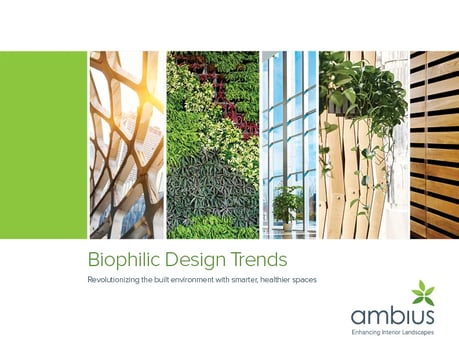 AMB_Biophilic Design Trends 2021
